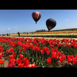 Meet your Posher, Kbsgus